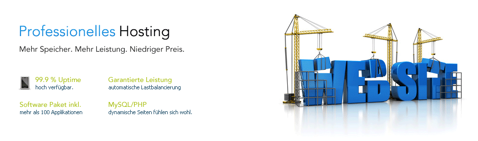 Professionelles Hosting